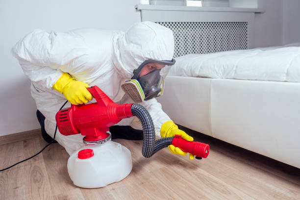 Best Pest Exclusion Services  in Eggertsville, NY